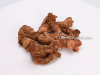 Galangal root dried gurunjal group Taste of South Sudan 